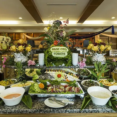 Hane Hotel 4*