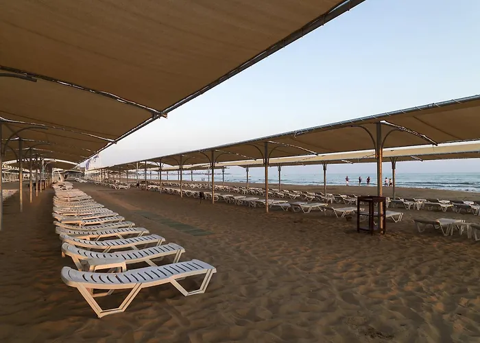 Hane Hotel 4*