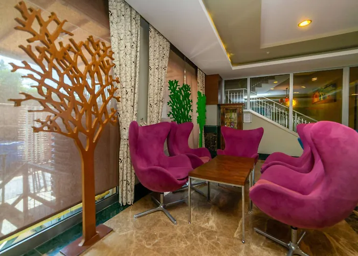 Hane Hotel 4*